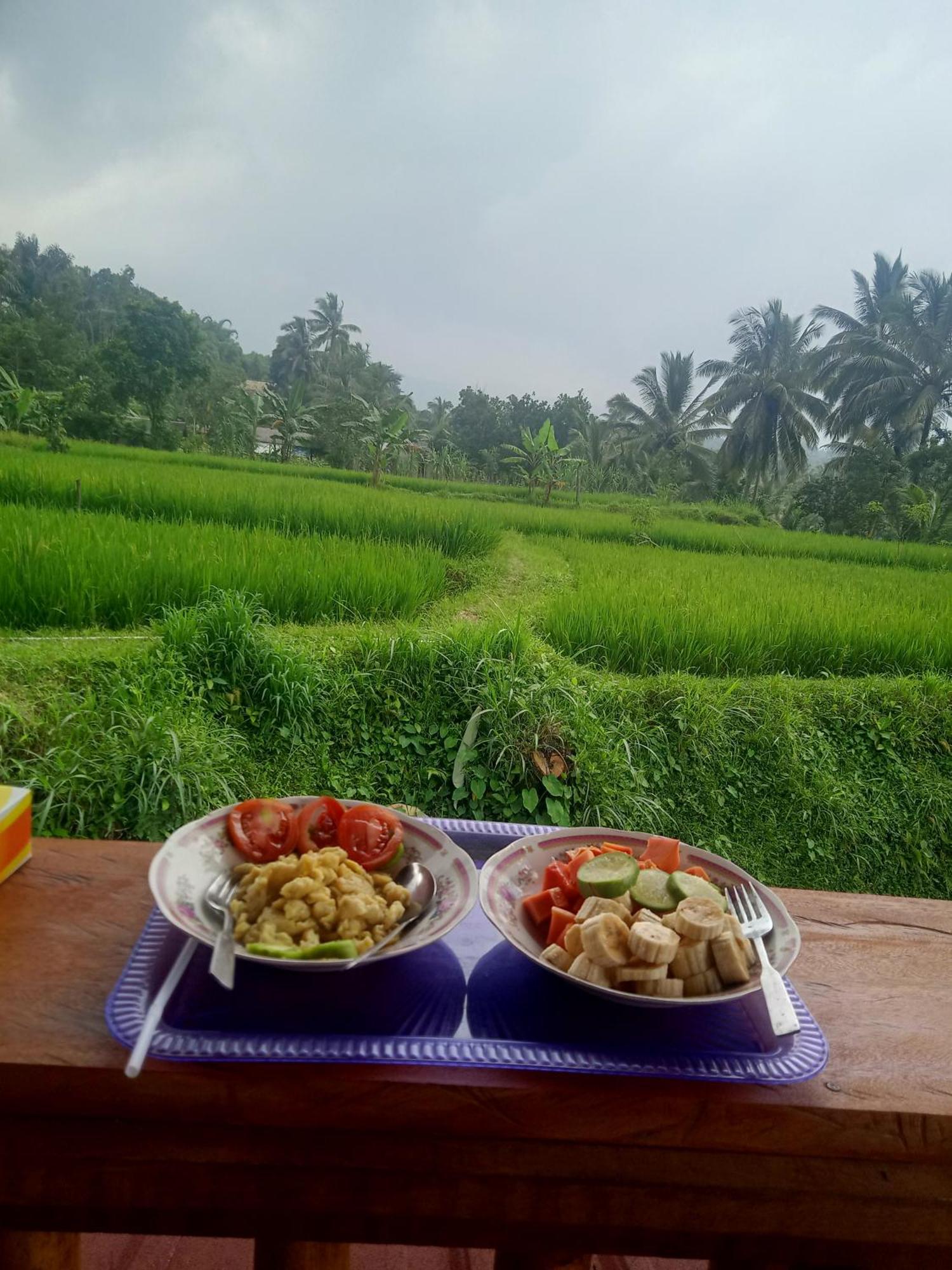 Coconut Homestay Tetebatu Bagian luar foto
