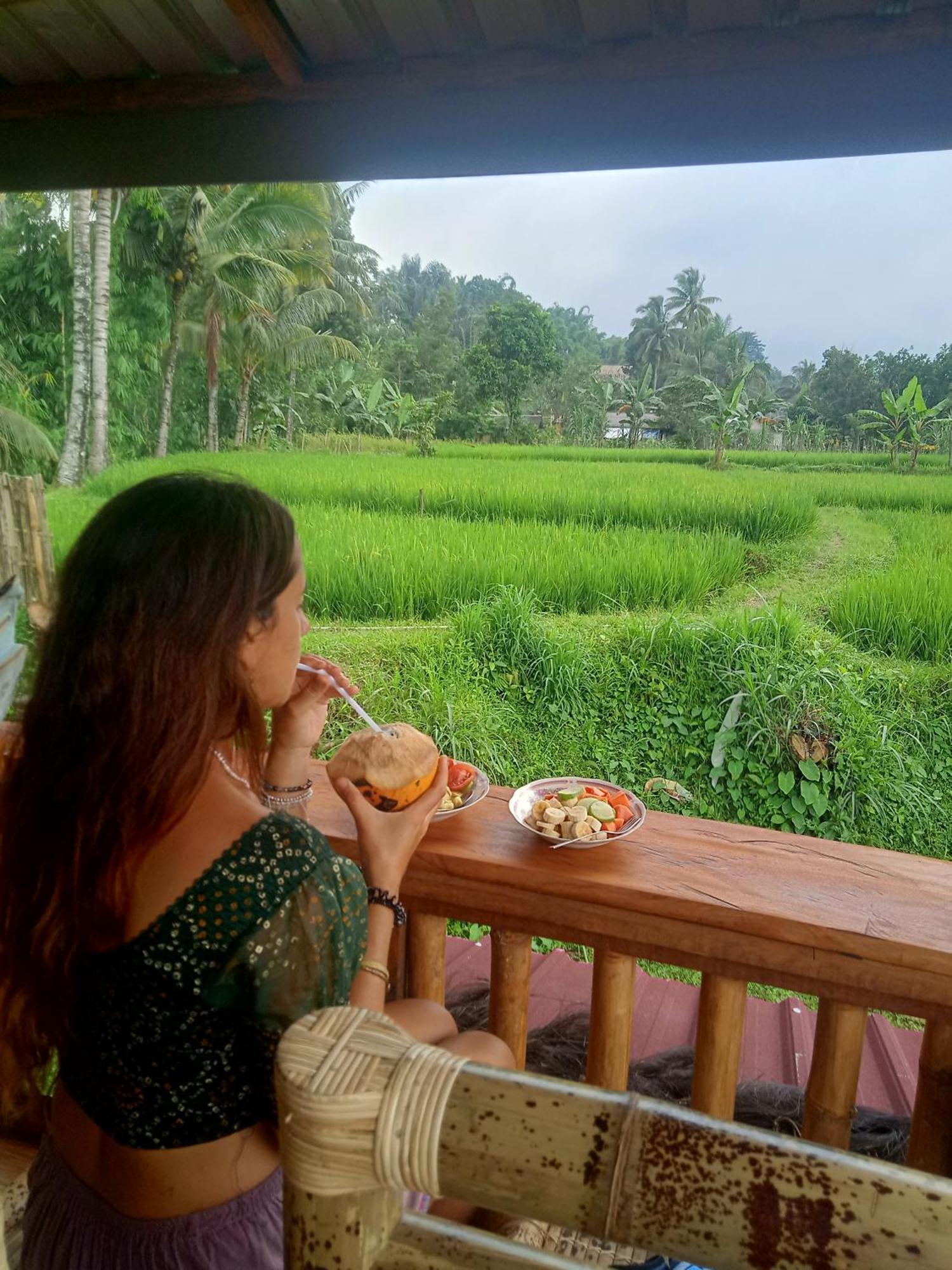 Coconut Homestay Tetebatu Bagian luar foto