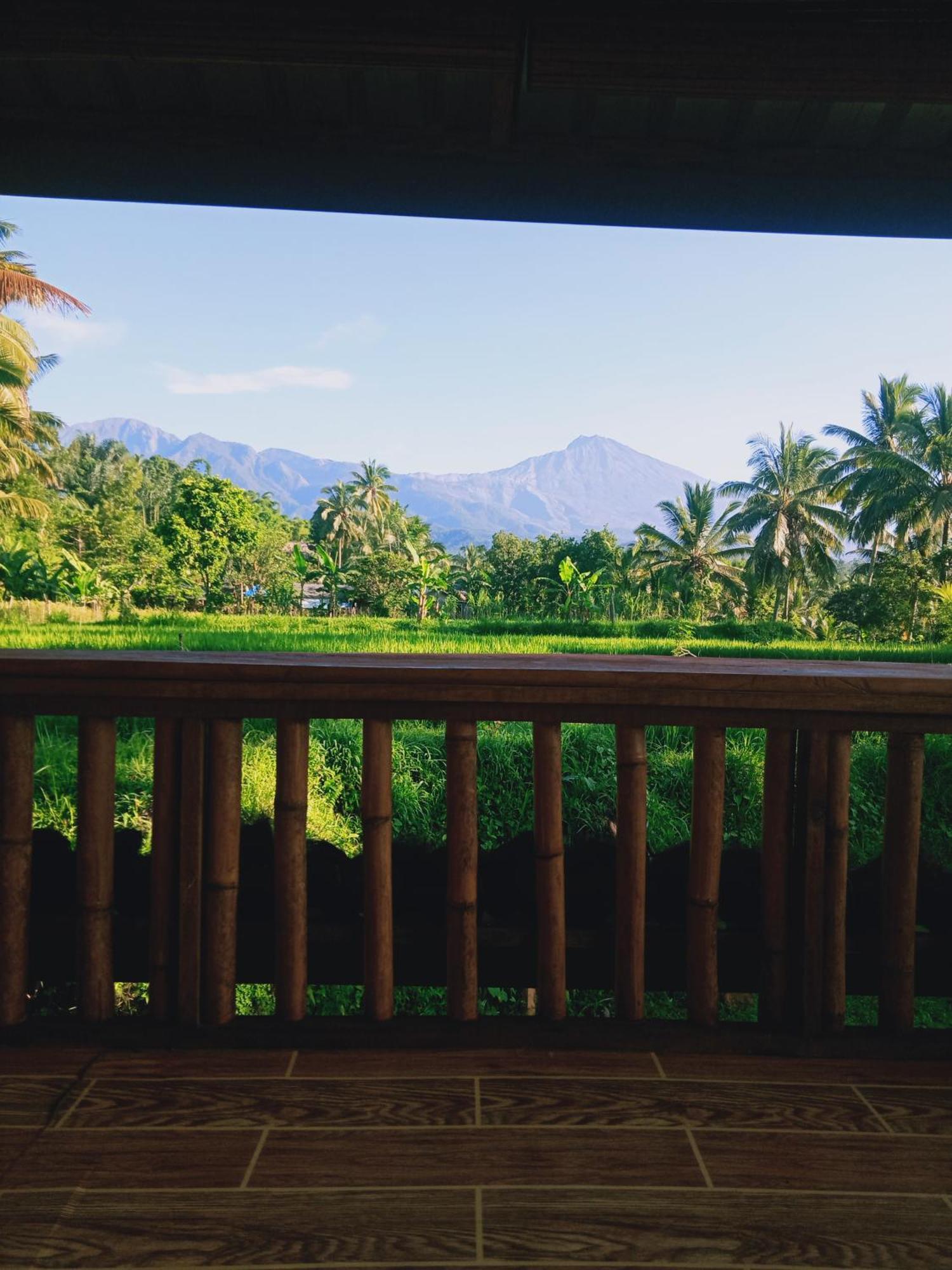 Coconut Homestay Tetebatu Bagian luar foto