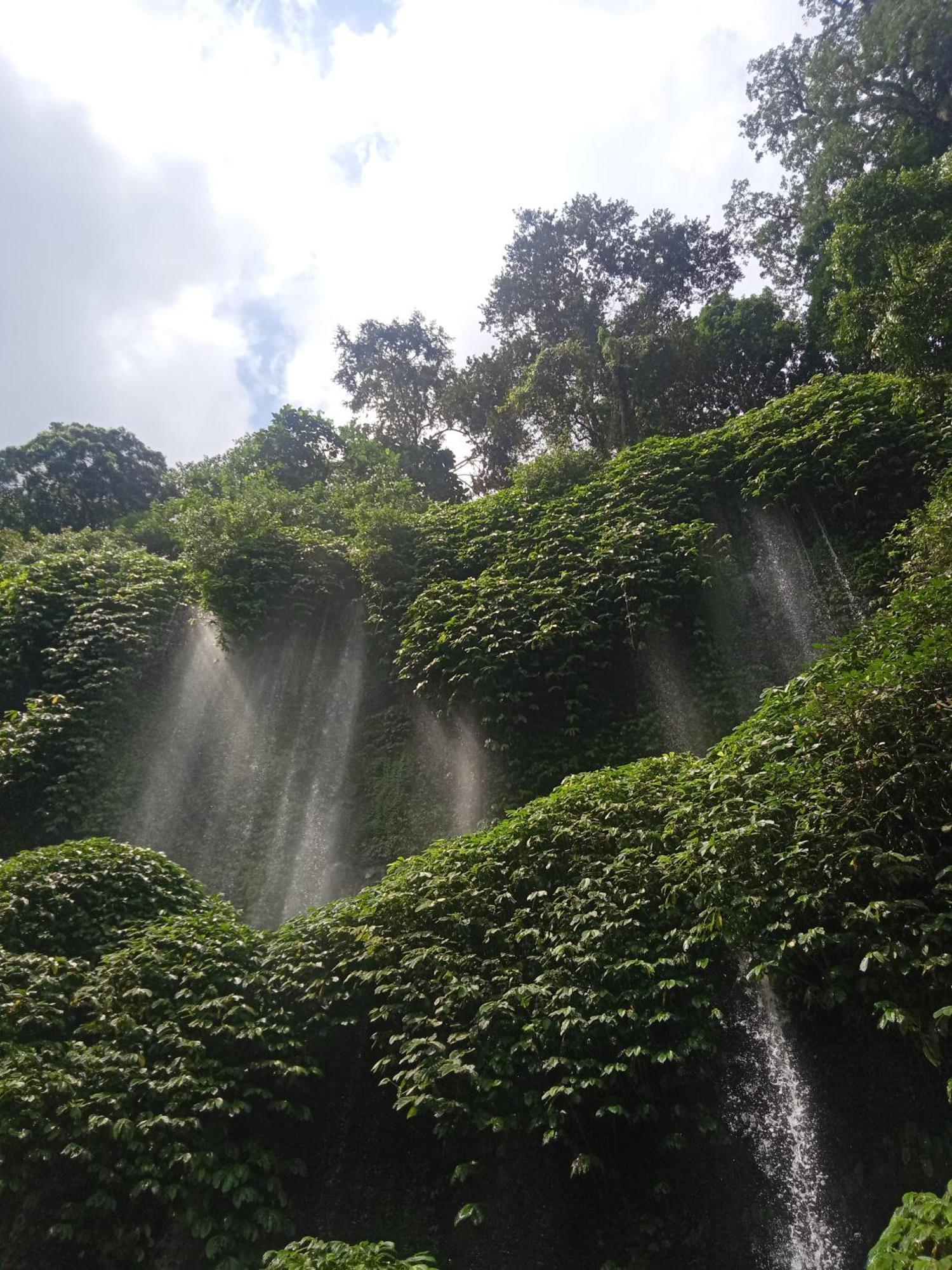 Coconut Homestay Tetebatu Bagian luar foto