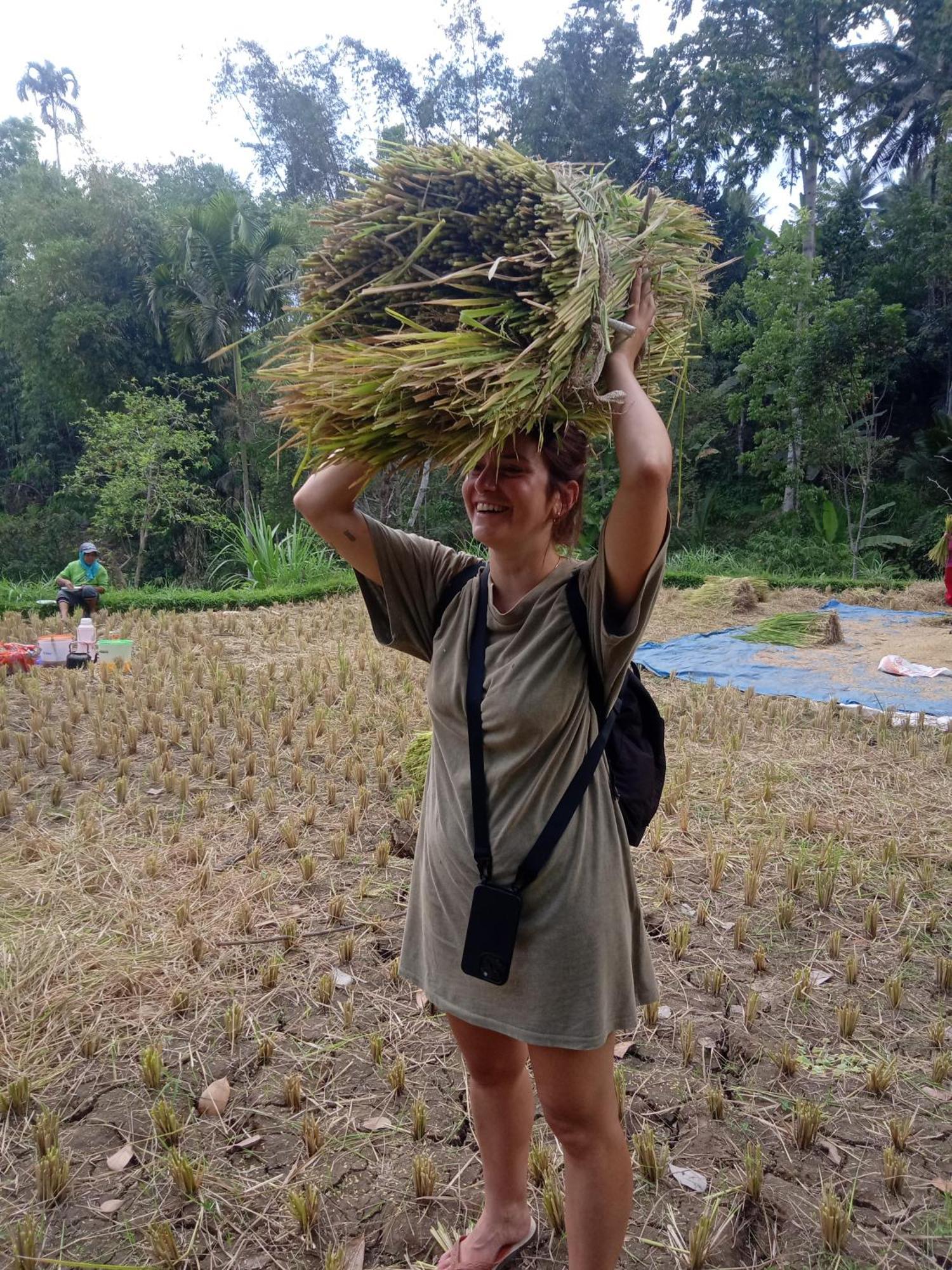 Coconut Homestay Tetebatu Bagian luar foto