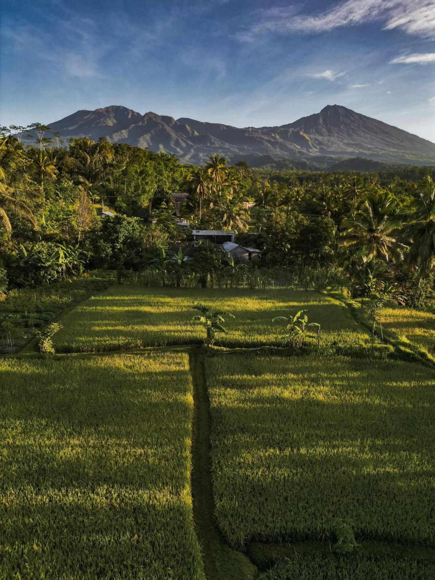 Coconut Homestay Tetebatu Bagian luar foto