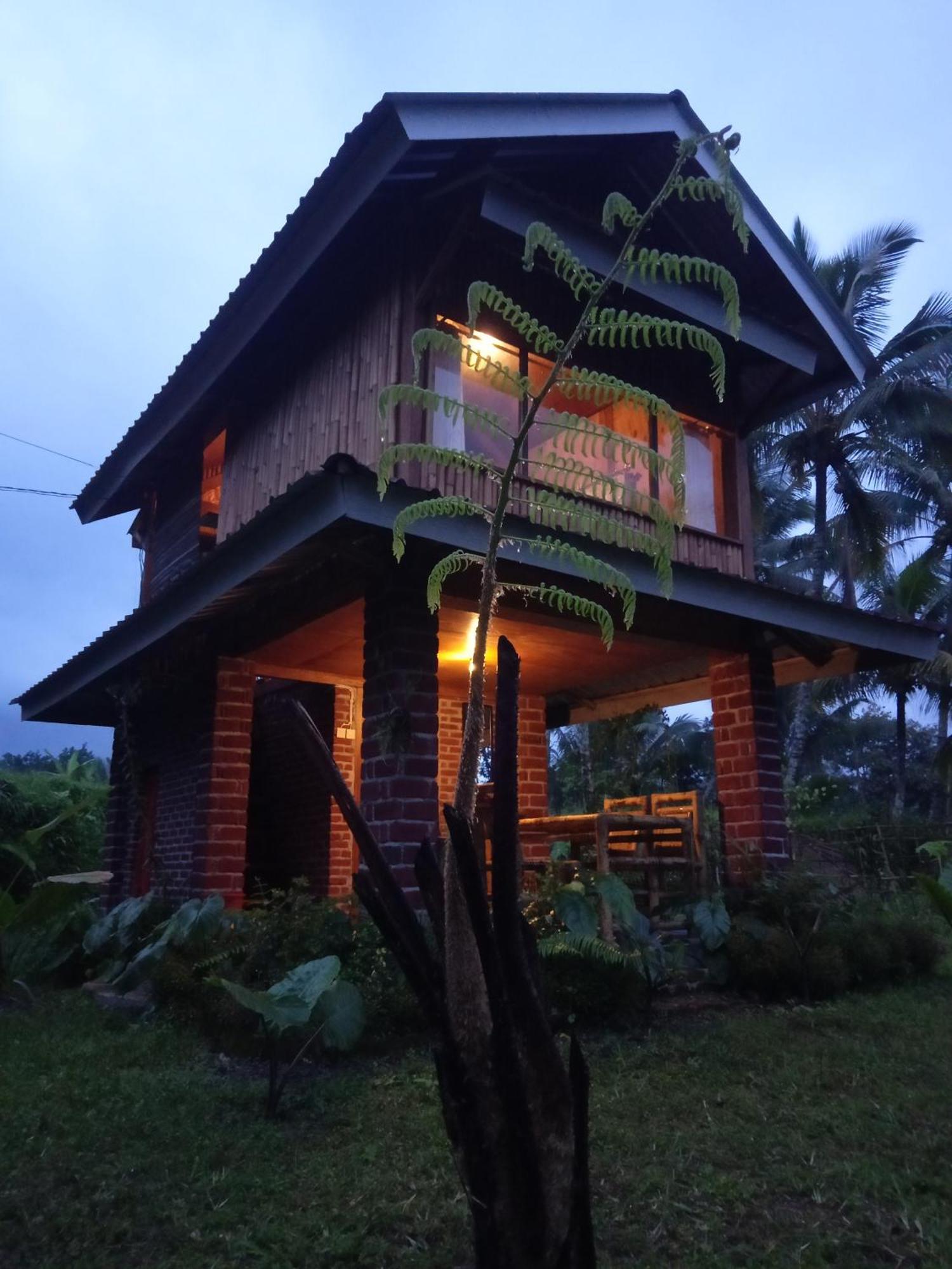 Coconut Homestay Tetebatu Bagian luar foto